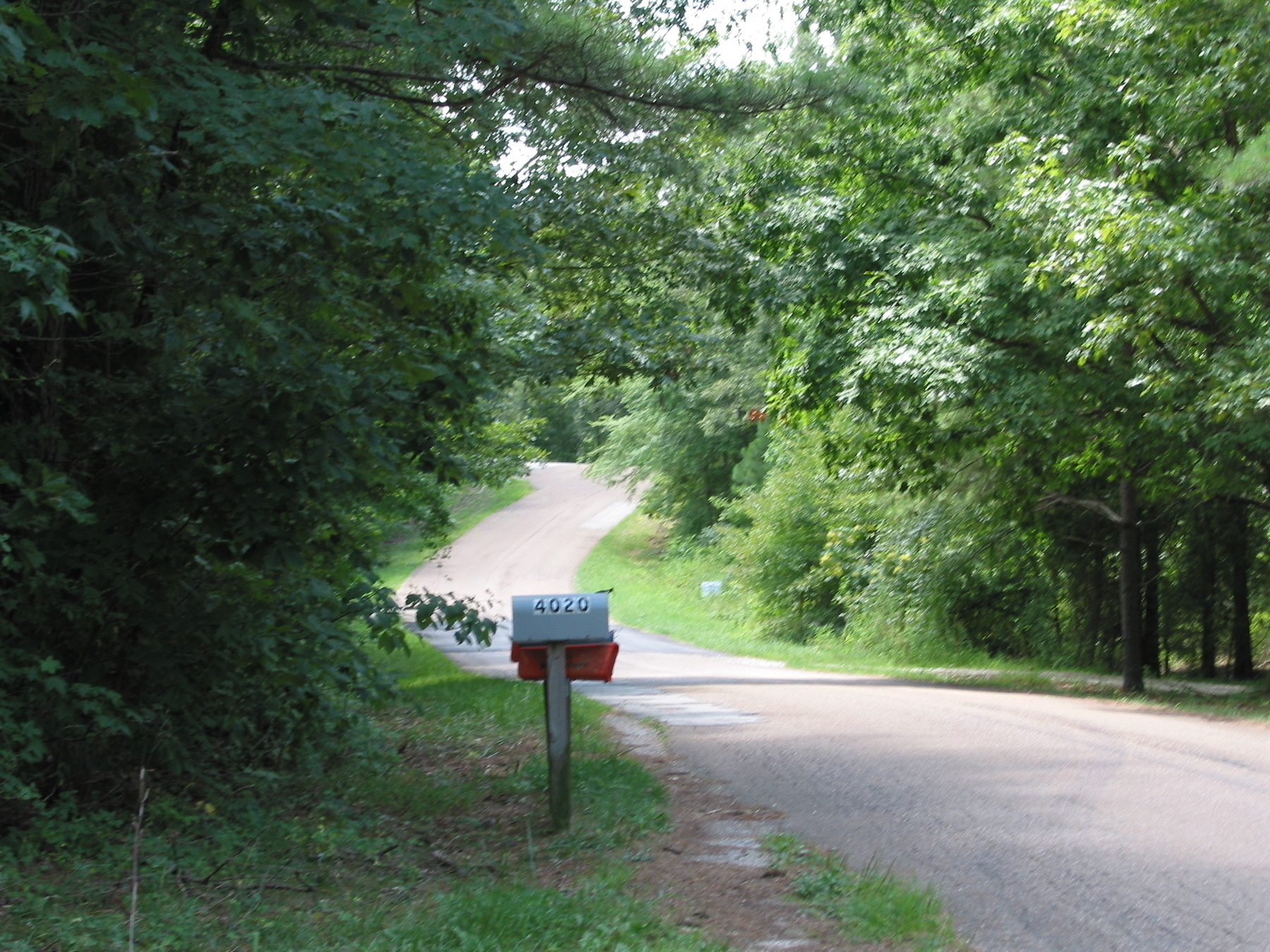 A rural road flanked by lush greenery features a mailbox with the number 4020.