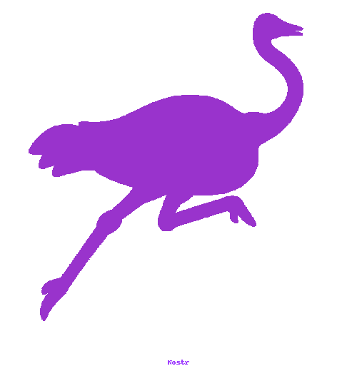 Nostr (Animated Ostrich)